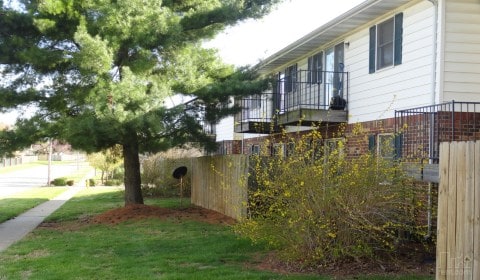 Montclair Pointe - Montclair Pointe Apartments