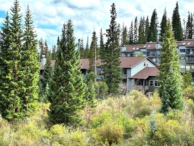 Building Photo - Winter Seasonal Rental- Buffalo Ridge G106