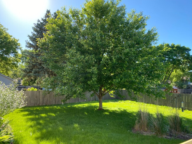 Photo - 10509 Ricardo Rd