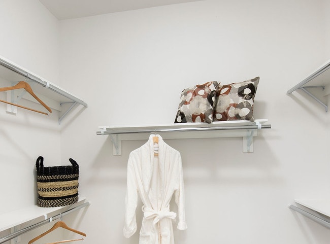 Walk-in closets with custom shelving