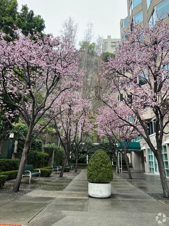 Building Photo - Charming 1BR/1BA Condominium in Financial ...