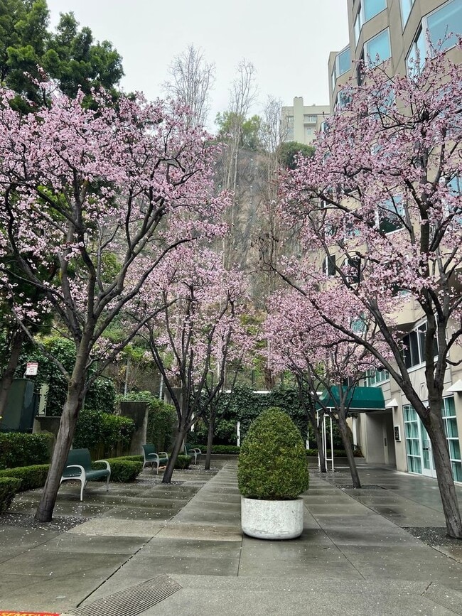 Charming 1BR/1BA Condominium in Financial ... - Charming 1BR/1BA Condominium in Financial ...