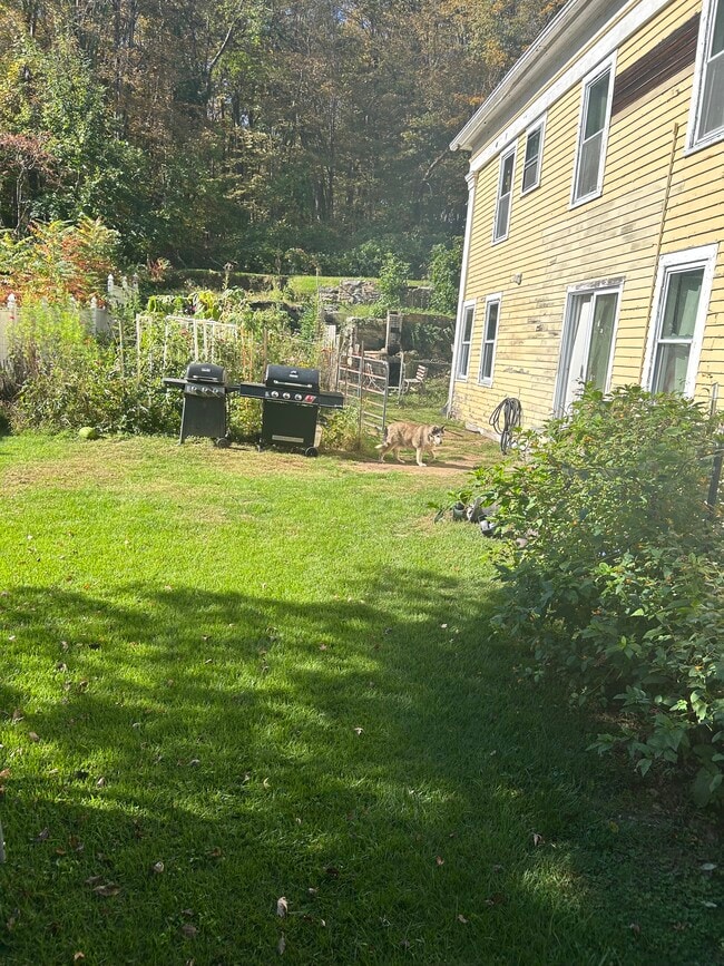 Lower Terrace Fenced Yard - 30 Wall St Unit 30 Wall Stret Floor 2B