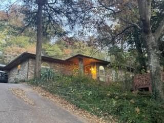 Building Photo - 1122 Jungle Dr