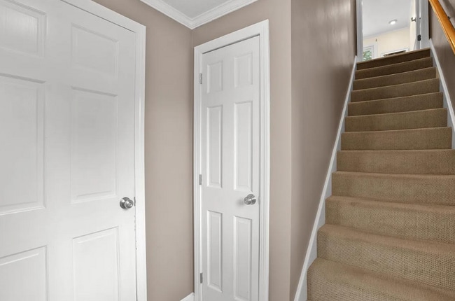 Photo - 19 Profile Cir