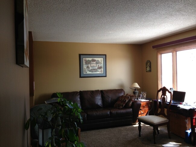 Sala de estar - 2206 Springvale Ct