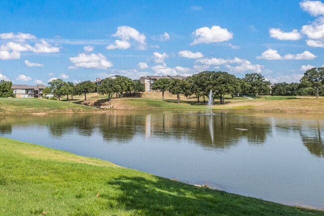 View from the Lake