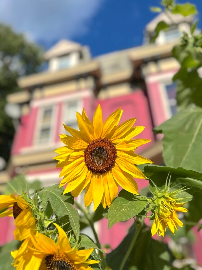 Photo - 240 Grand St Unidad 5