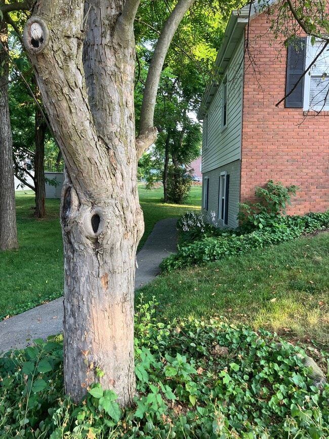 Photo - 129 Fenway Dr Unit 1