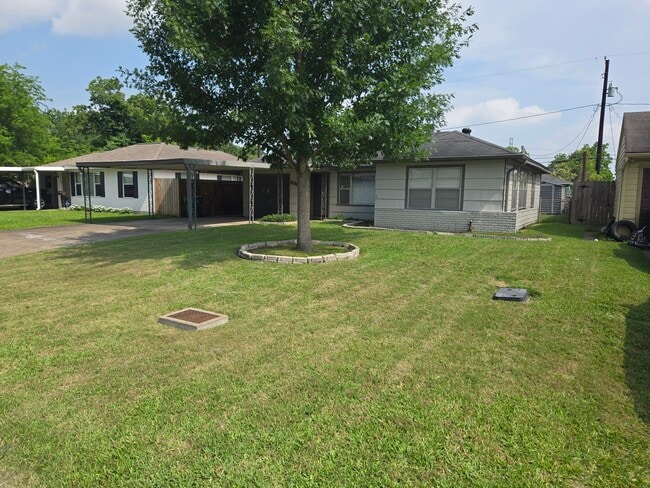 Beautifully manicured lawn - 3029 Corksie St House