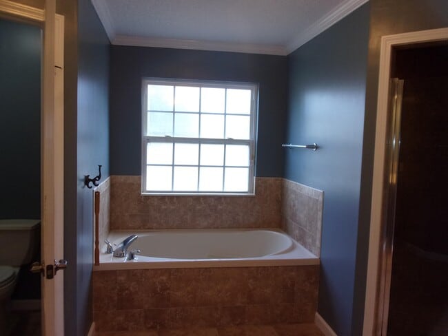 Building Photo - 237 Deportivo Dr