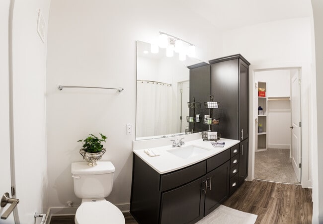 Devine Bathroom