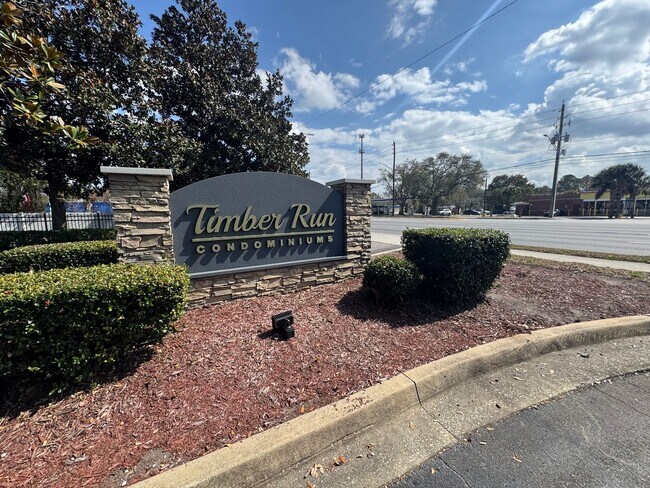 Photo - Make a New Start in Timber Run! Unit 3