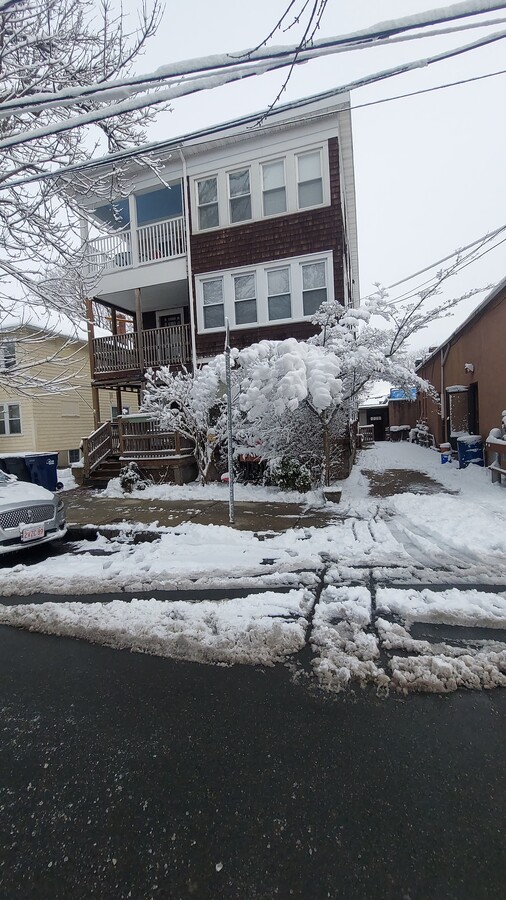 Near Arnold Arboretum - 7 Mosgrove Ave Unit Apt#1F