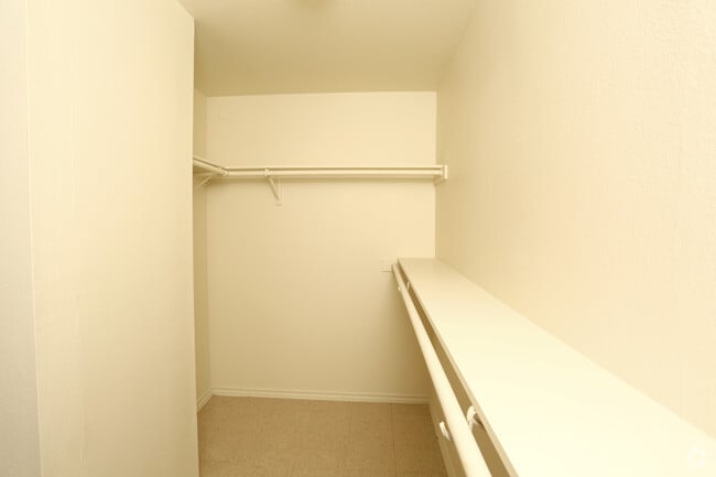 1BR,1BA - 829SF - Walk In Closet