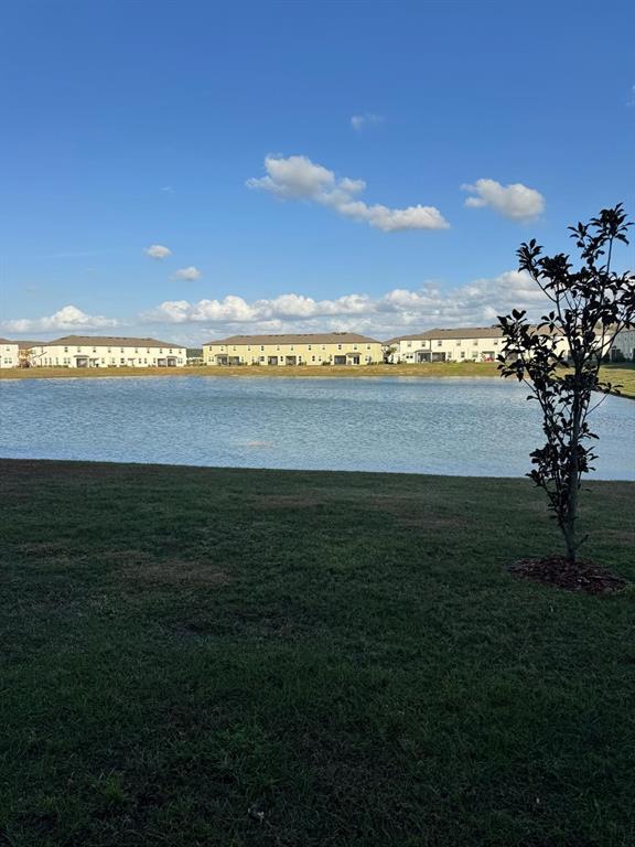 Photo - 10308 Lavender Aster Trl