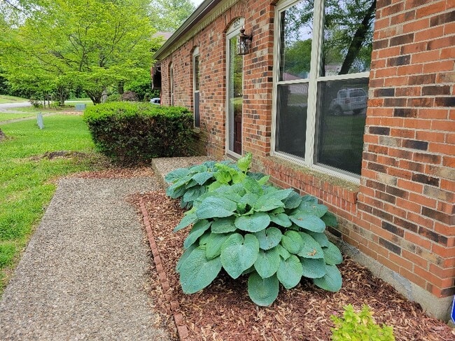 Photo - 8323 Roseborough Rd