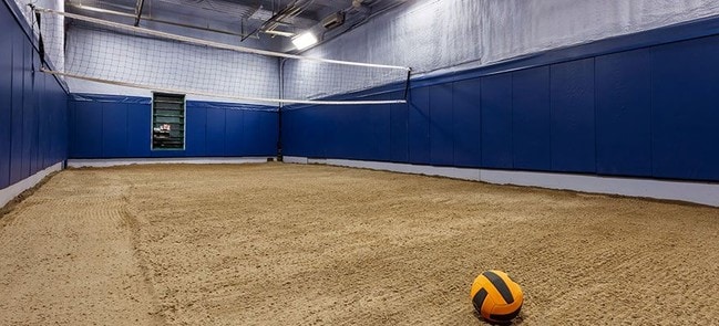 Volleyball Court