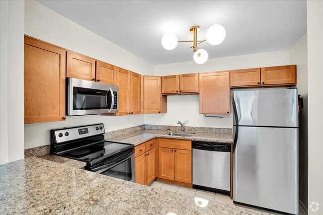 Building Photo - 1560 N Sandburg Terrace Unit 1703 Rental
