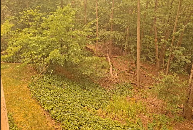 Photo - 1104 Murray Hill Rd