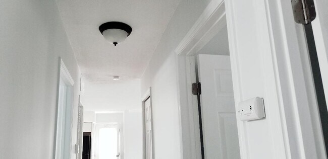 hallway - 216 Walnut St