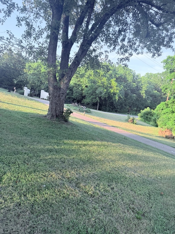 Photo - 1315 Bell Grimes Ln