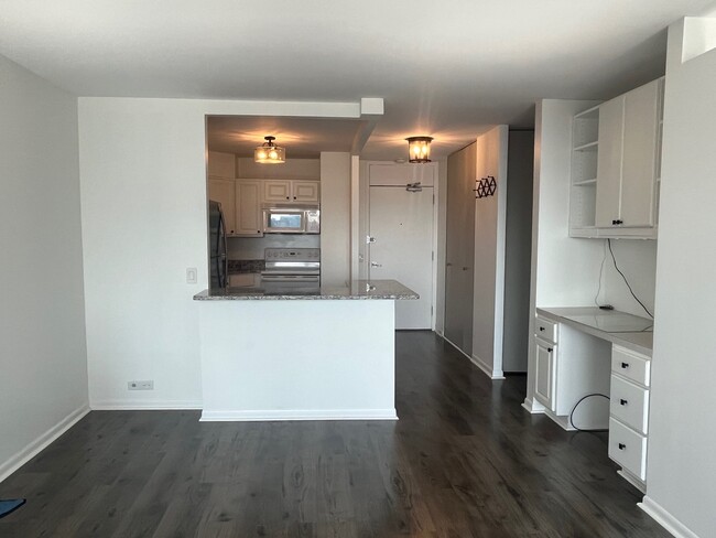 Photo - 1560 N Sandburg Terrace Unit 1409J
