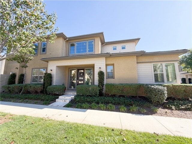 Photo - 64 Turnstone