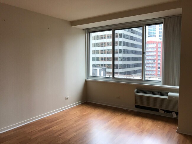 Nice one bedroom in Streeterville - Nice one bedroom in Streeterville Rental