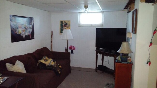 basement living room