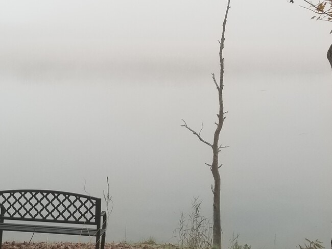 Photo - 29 Crescent Ter