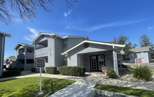 Photo - Olive Tree Apartments