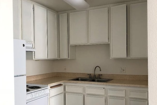 Photo - Canyon Breeze