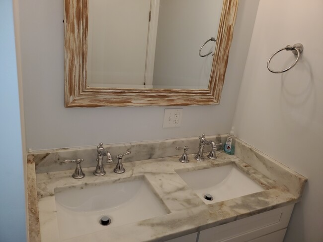 Bathroom double vanity - 1309 W Fillmore St Unit 1