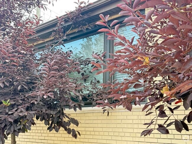 Building Photo - 4201 W 55th St Rental