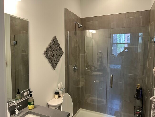 Baño principal - 161 W Schiller St Unidad 4