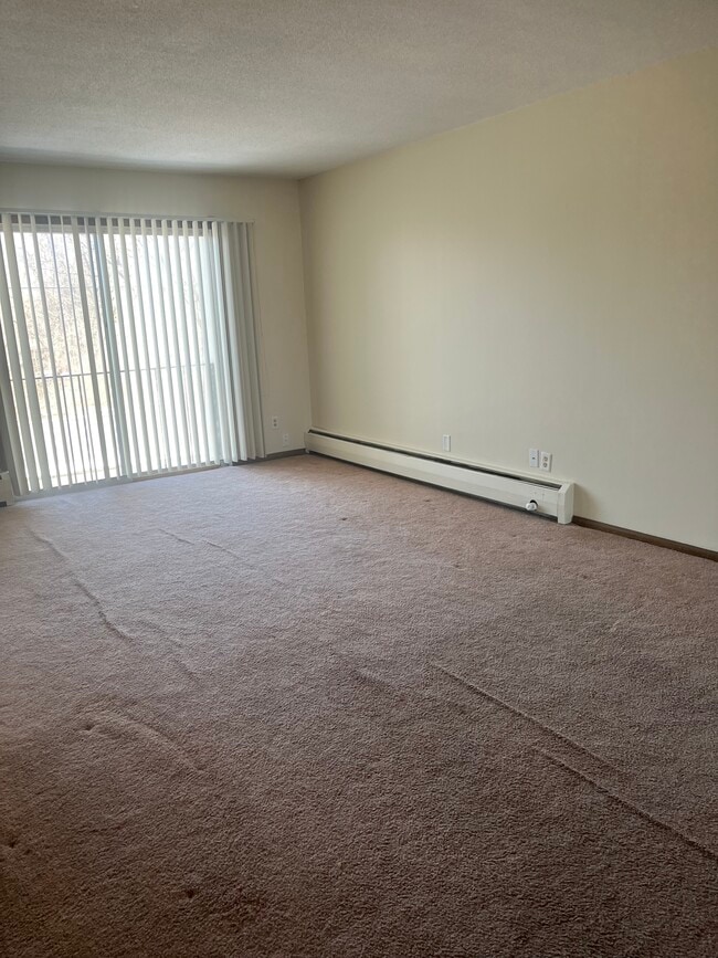 Living Area - 709 11th Ave S Unit 6