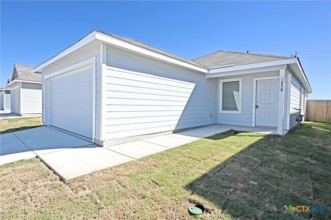 Photo - 1838 Musk Rose