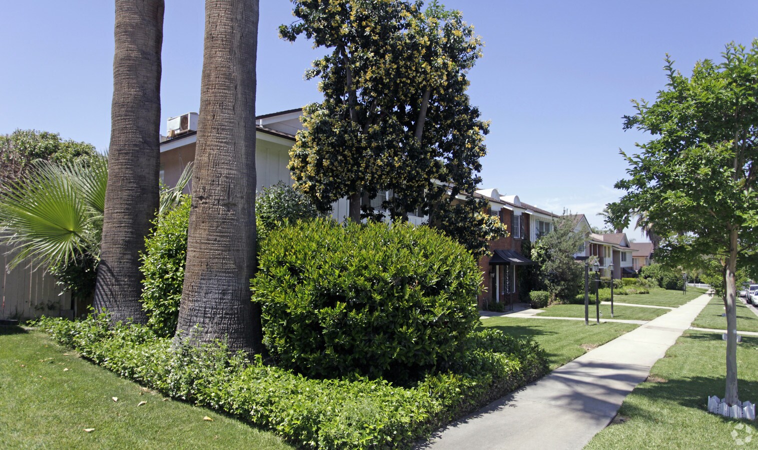 Primary Photo - Pickwick Arms