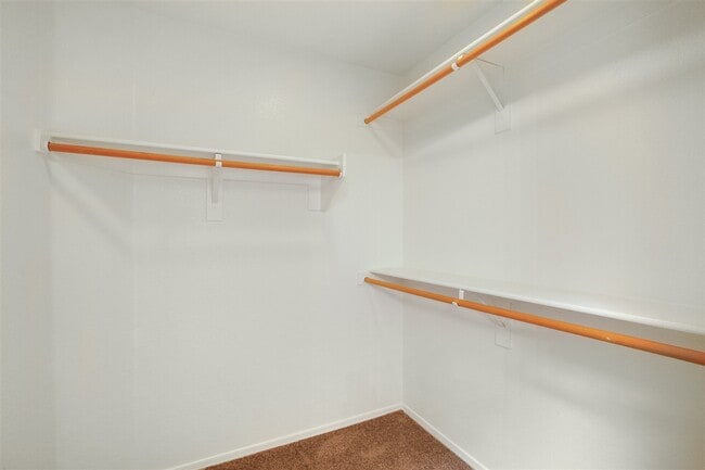 Building Photo - 3914 W Commonwealth Ave Rental