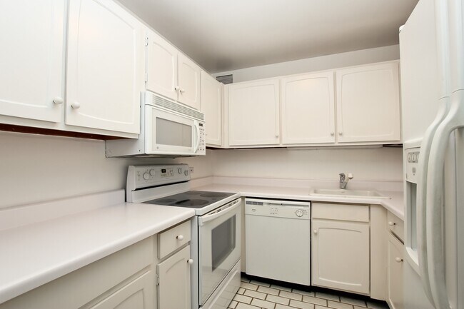 Photo - 777 N Michigan Ave Unit 1509