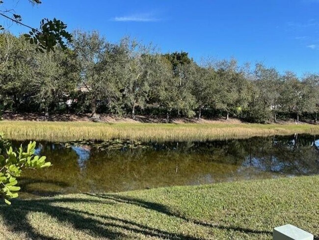 Photo - 517 Spinnaker