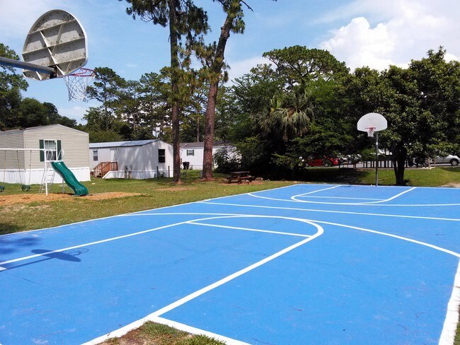 Photo - The Palms of Archer