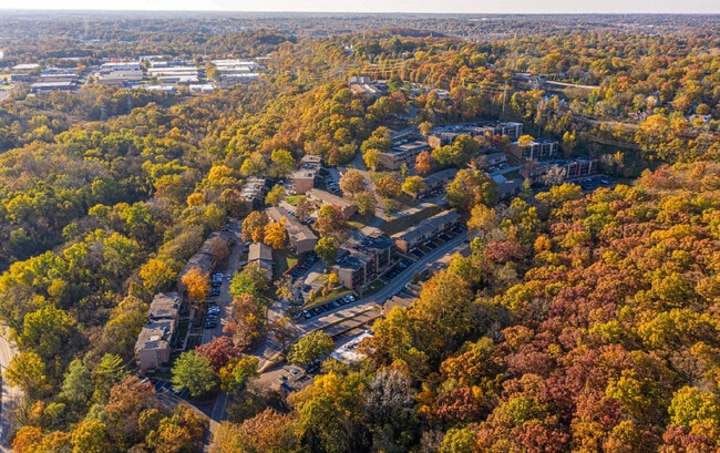 Kirkwood Bluffs