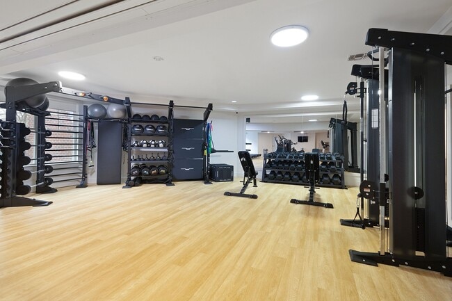 Strength zone with free weights, racks, and versatile training gear