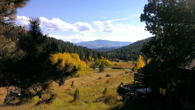 Photo - 120 Wisp Creek Dr Unit Valley View ...