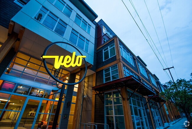 Building Photo - Velo and Ray Rental