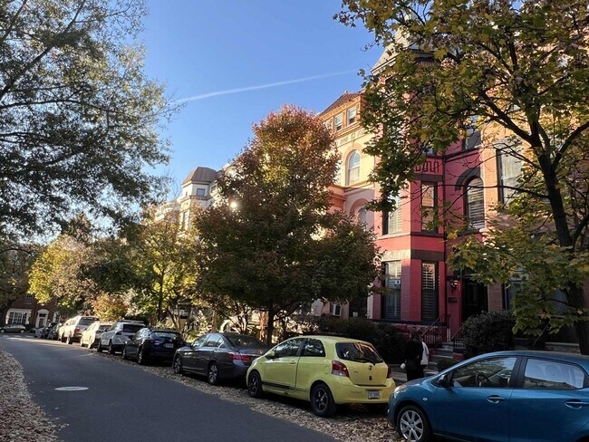 One-way/tree-lined street