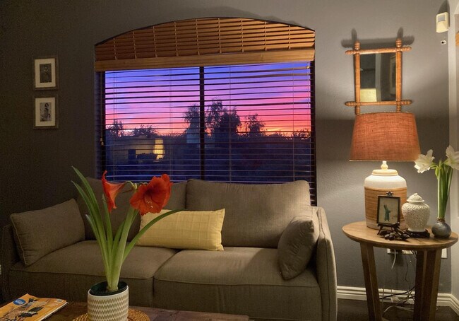 Building Photo - 15095 N Thompson Peak Pkwy Unit 2052