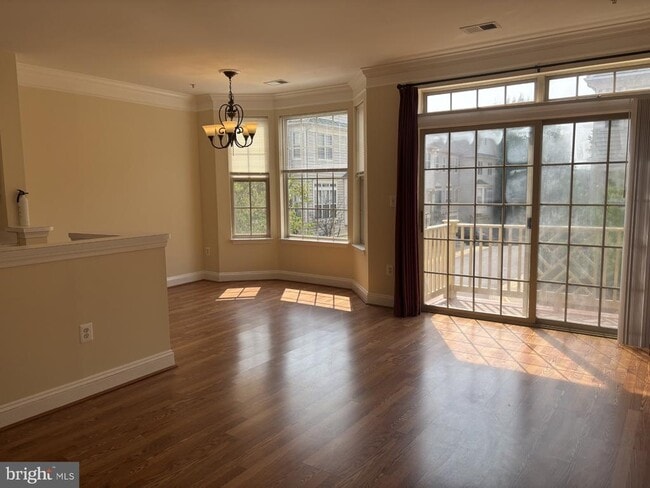 21156 Domain Terrace